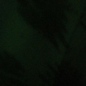 Meet your Posher, Kade